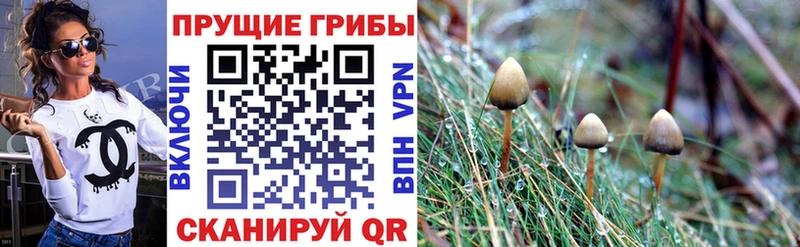 Галлюциногенные грибы GOLDEN TEACHER  магазин    Белёв 